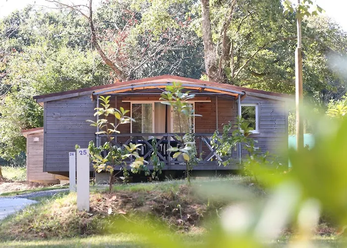 Camping Le Ruisseau Kamp alanı Saint-André-de-Seignaux