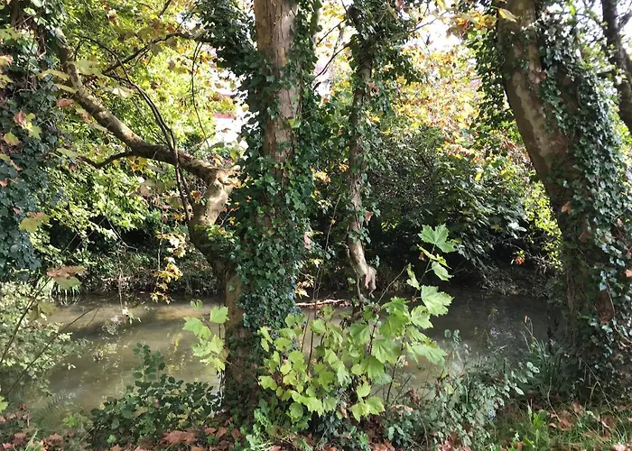 Кемпинг Le Ruisseau 3*