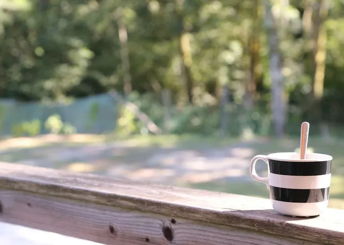 Camping Le Ruisseau Kamp alanı Saint-André-de-Seignaux